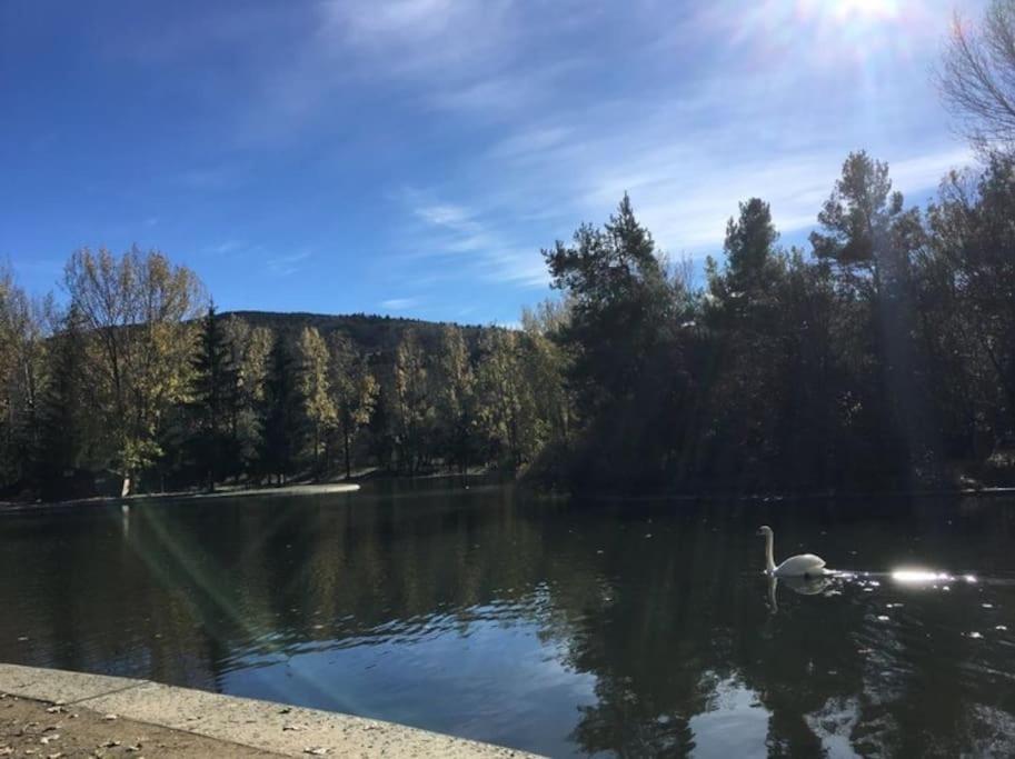 Osséja Ideal Parejas - Tranquilidad Y Naturaleza - Vistas Al Lago מראה חיצוני תמונה